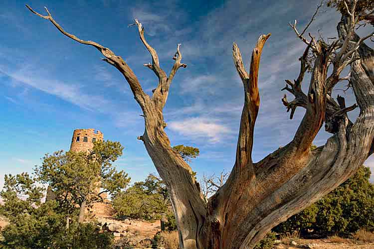 east rim desert view